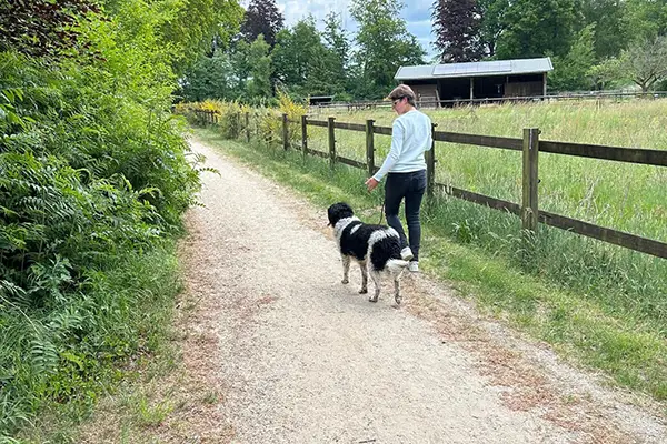 Hondenconsulent, ik kom bij je thuis voor de training