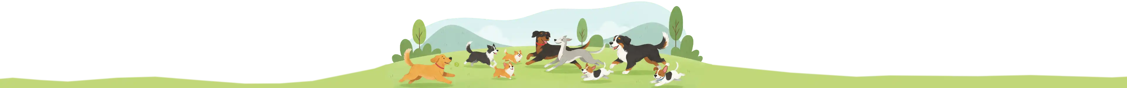 Hondenconsulent Gelderland- Jij en je hond weer als één team